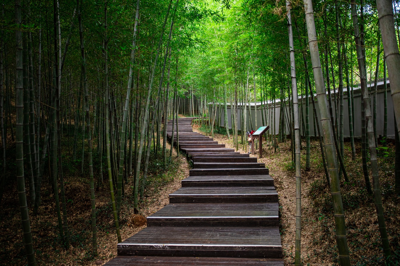 自然与文化的完美融合